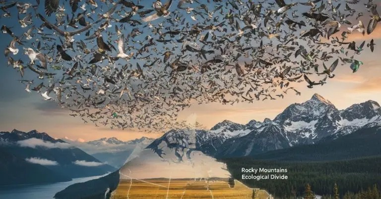 Collage feature image for the Western Canada bird checklist, showing three distinct species and habitats: a Puffin (coastal), a Great Gray Owl (forest/mountain), and a small prairie owl (field), representing the region's avian diversity.